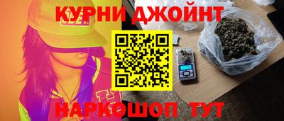 спайс Кингисепп