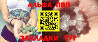спайс Кингисепп