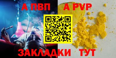 спайс Кингисепп