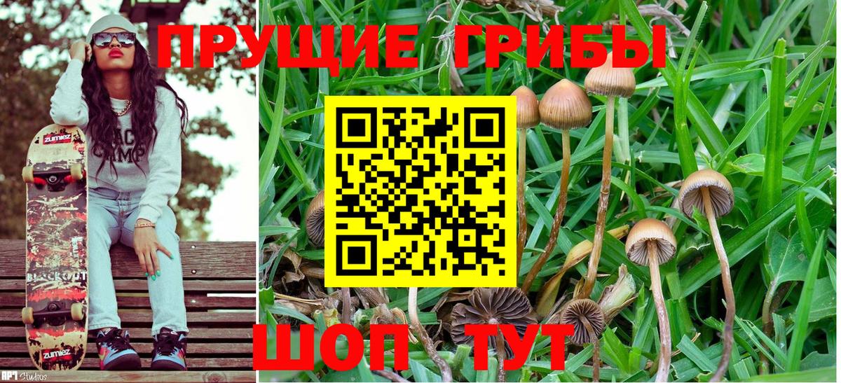 Конаково  Галлюциногенные грибы MAGIC MUSHROOMS  Вход с VPN 